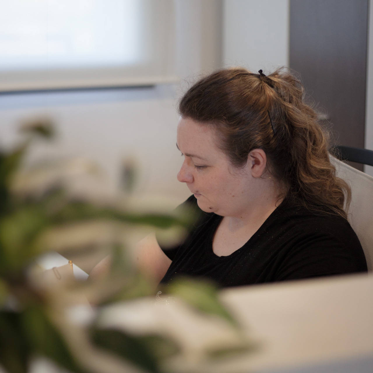 Web Agency